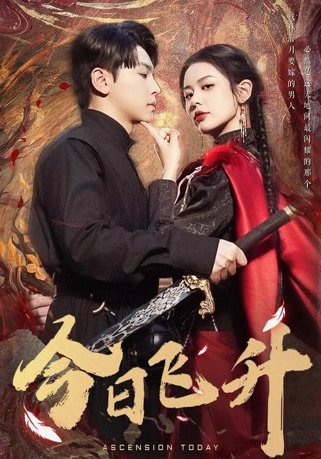 《今日飞升》作品封面